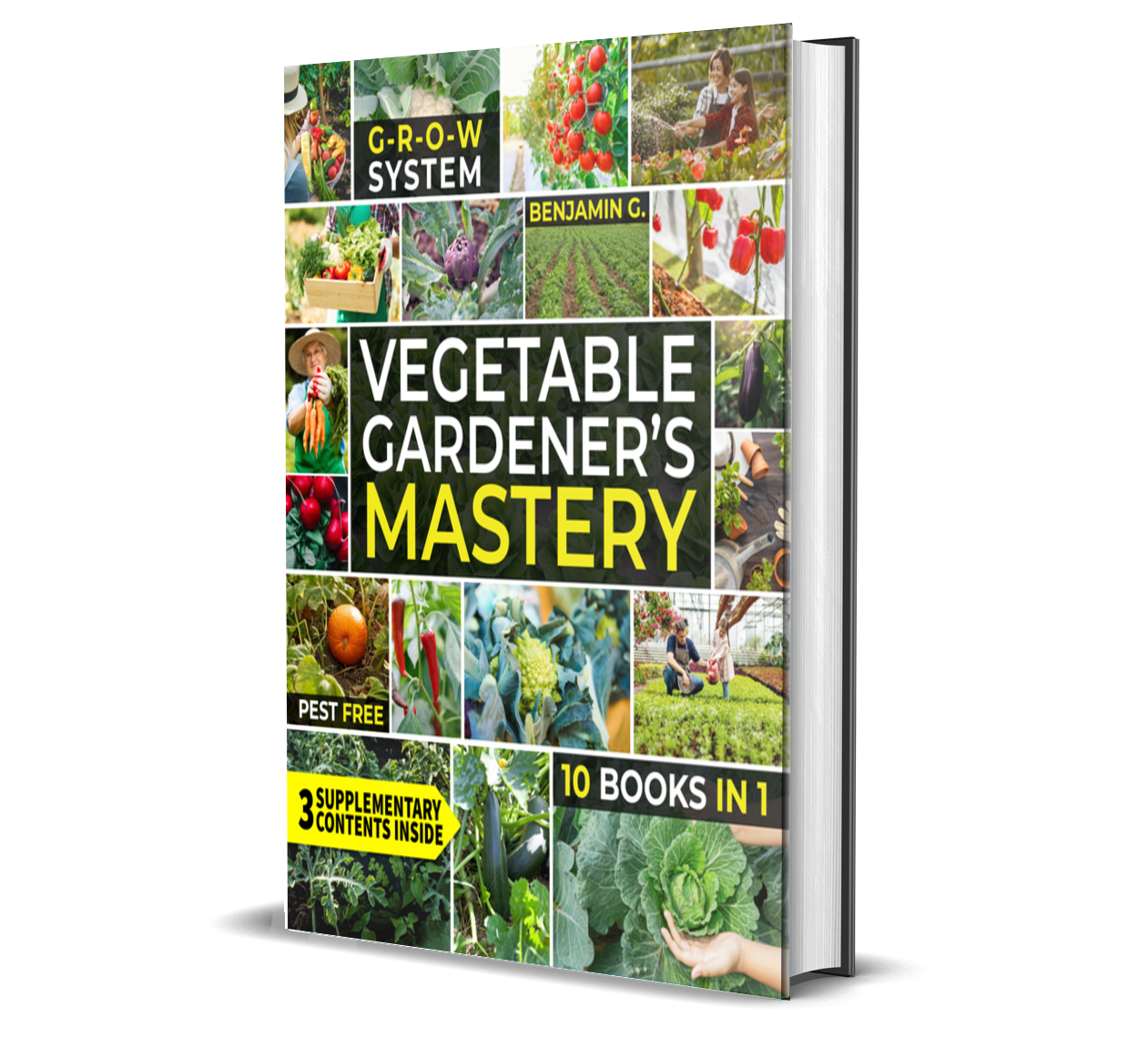 vegetable gardener's bible