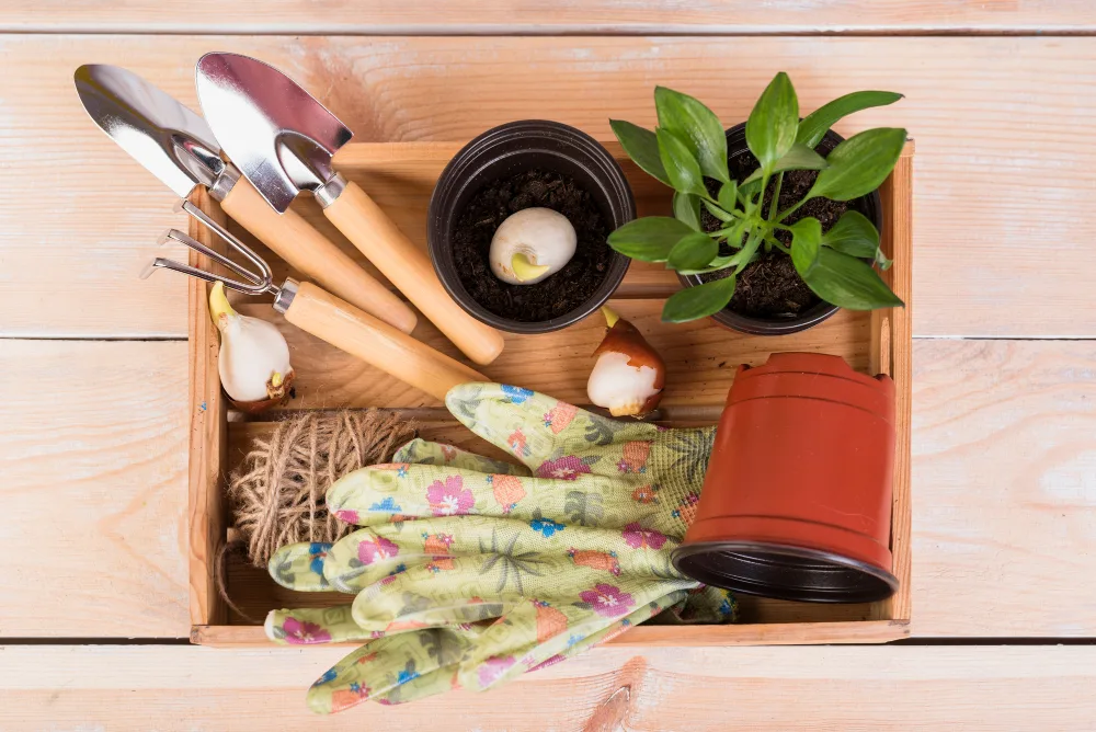 What to Plant Each Season: A Year-Round Gardening Guide