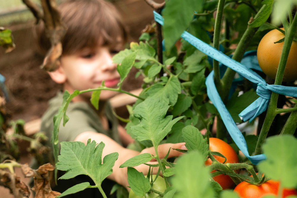 Growing Under Cover: Techniques for Extending the Vegetable Gardening Season