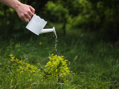 Eco-Friendly Watering