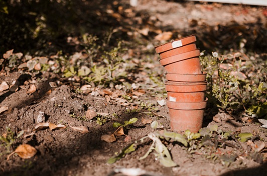 Low-Water Gardening