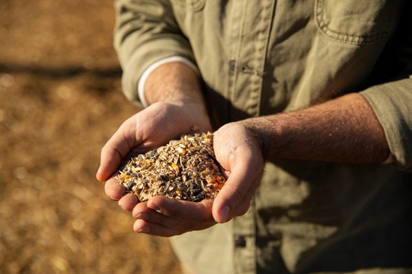 From Seed to Harvest