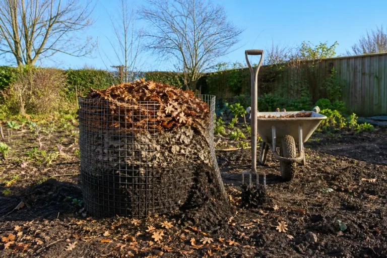 Leaf mold compost in a wire bin, in three layers: whole brown leaves on top, skeletal ones below, dark crumb at the bottom.