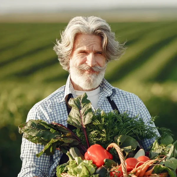 Benjamin Greenfield, grey-haired and bearded, smiling in a vegetable field with a basket of fresh vegetables.